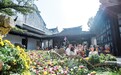 金风玉露 菊韵苏城 2023年苏州菊花精品展开幕