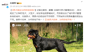 特别聚焦｜在长春，20种烈性犬大型犬被列禁养“黑名单”