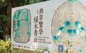 2023长三角第三届菊花精品展暨杭州第九届菊花艺术展精彩亮相