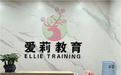 爱莉教育：用心做教育 用实力做课程 用结果做口碑
