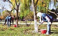 肃州7万棵树木穿“新装”　这个冬天跟病虫害说拜拜