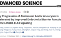 陈玉国/徐峰教授团队发现内皮细胞ALDH2调控腹主动脉瘤早期进展的重要机制