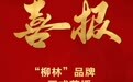 喜报 |“柳林”品牌正式获授“陕西老字号”牌匾