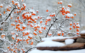 太行大峡谷秋天是一幅画，冬天是一首歌~