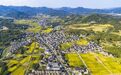 全国示范 杭州最佳实践 富阳这2个地方“钱”景广阔