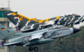 莱茵河上空的“狂风”：德国空军的“狂风”ECR战机小传