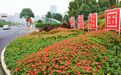 雨花区全力提升城市“颜值”，优化营商环境广纳各界人士