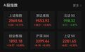 重要调整！直线爆拉，涉案超90亿，公安部会同证监会出手