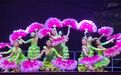 海南省歌舞团“我们的中国梦”——文化进万家惠民演出走进临高县东英镇高秀村