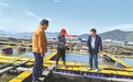 专家“送技上门” 水产养殖户防患于未“寒”