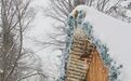 吉林冰雪新玩法｜快来安图奶头山村冰雪乐园撒欢吧！