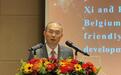 中国驻比利时使馆举办2024年中比友好新年招待会