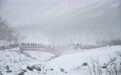 吉林探雪行丨热“雪”沸腾 在长白山来一场“速度与激情”