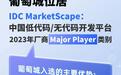 葡萄城位居IDC MarketScape：中国低代码/无代码开发平台2023 年厂商Major Player类别