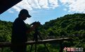 《非诚勿扰3》在三亚亚龙湾热带天堂森林旅游区取景