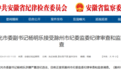 安徽一省辖县级市市委副书记 被查！
