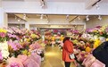 春节临近南昌花卉市场迎来销售旺季 蝴蝶兰稳居年宵花C位