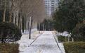 枣庄凌晨迎降雪 局部地区达暴雪级别