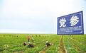 甘肃中医药全产业链规模达800亿　营收上亿企业近20家
