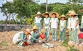 香市小学校长骆柏新：“本香”沁学子，改革促育人|教育观察①