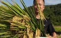 宁波市七大种业经济矩阵年产值40亿元