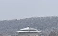 今年这场冰雪对珞珈山来说是场灾难，倒塌的树木实在太多了