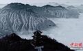 川陕交界处的“云上仙境”：龙头山雪景如画