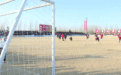 始于热爱，“村界杯”出圈！