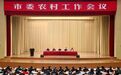 徐州市委书记宋乐伟：以学习运用“千万工程”经验为引领 全面推进乡村振兴聚力建设农业强市