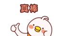 “选择”深圳，共启新程，致敬每一个不躺平的深圳人！