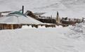 蒙古国严寒与暴风雪天气已致超200万头牲畜死亡