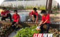 获评首批全国中小学科学教育实验校 长沙这些学校做了啥