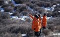 女护林员坚守祁连山二十载　爬冰卧雪风餐露宿成日常