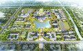 振兴“仲景”品牌 全球中医圣地看南阳