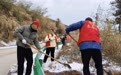 安徽桐城市黄甲镇三新村：不负好春光 种下“摇钱树”