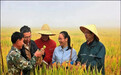 全国巾帼建功标兵徐洁芬：植根大地，“种”下新希望