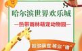 哈尔滨世界欢乐城：热带雨林萌宠动物园 治愈系萌宠亲密接触乐翻天！