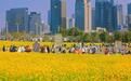 唯春风与花海不可辜负 南昌“赏花打卡指南”来了