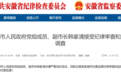 安徽一副市长被查！一县政协原主席被“双开”