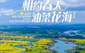 春游江淮 | 芜湖响水涧万亩金色花海开放！附游玩攻略