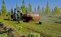 种养结合农牧循环　阿克塞激活"绿色引擎"释放生态红利