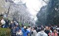 武汉大学发布赏樱政策 公众需预约入校