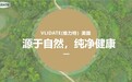 揭秘VLIDATE(维力特):膳食营养补充剂行业的领军品牌与健康潮流引领者