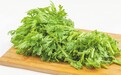 茼蒿被称为“皇帝菜”　究竟是为啥？