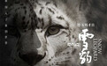去世前,万玛才旦留下了这部震撼世界的“神作”！