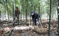 江西东乡：林下经济促增收