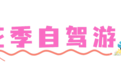 藏不住啦！黄山5条春游线路等你来玩→