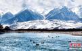 祁连山春日雪景：苍山负雪尽显山河壮丽