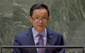 中国代表：中方为维护国际公道正义行使否决权受到广泛支持