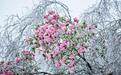 4月8日晚8点 湖北文旅惠民券又来啦！